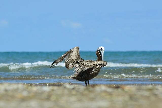 Veracruz Reef System National Park